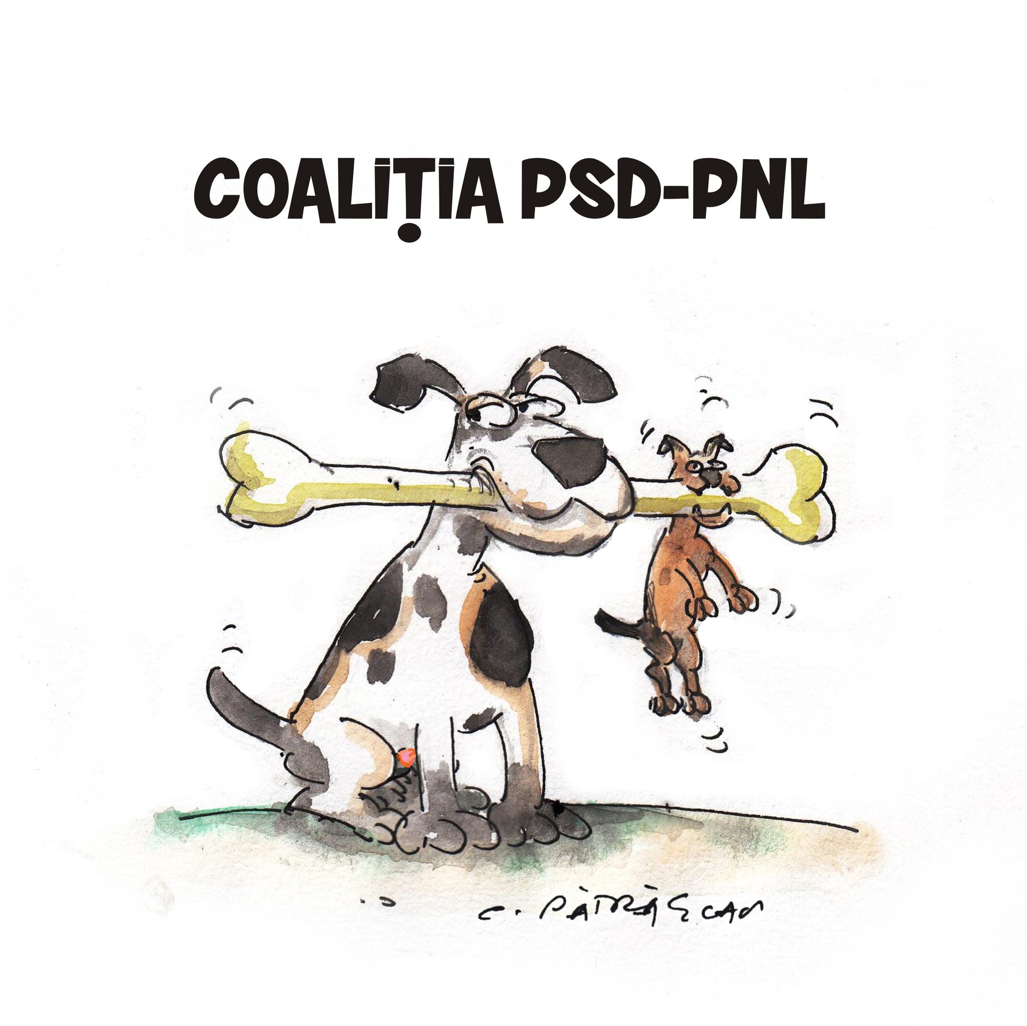 Costel Patrascan : Coaliția PSD-PNL