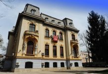 Loredana Diacu : PSD şi tablourile fantomă. Cum au dispărut fără urmă 59 de opere de artă împrumutate din sediul PSD şi cine plăteşte?