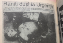 Domnule presedinte Nicușor Dan, după ce citești postarea doamnei Magda Gradinaru, mai ești în stare sa susții un individ precum Pahonțu? Aflu că azi v-ați confirmat ticăloșia